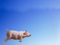 wallpaper - Cerdo Volando - por TitoFer